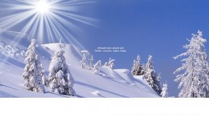 Zacs Tracs Website Banner